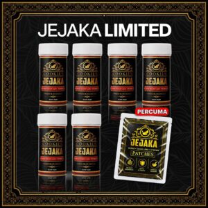 JEJAKA LIMITED